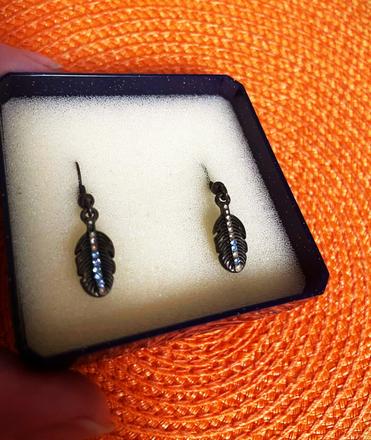 Zaujímavé náušnice, 