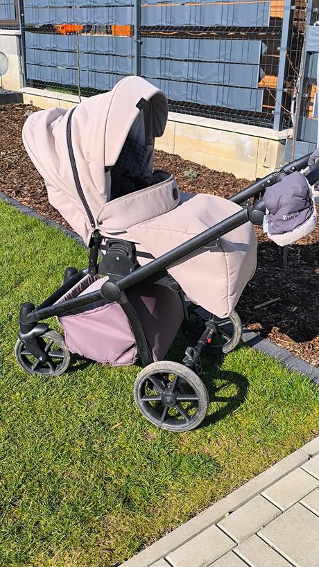 Kočík camarelo previo, camarelo,camarelo previo