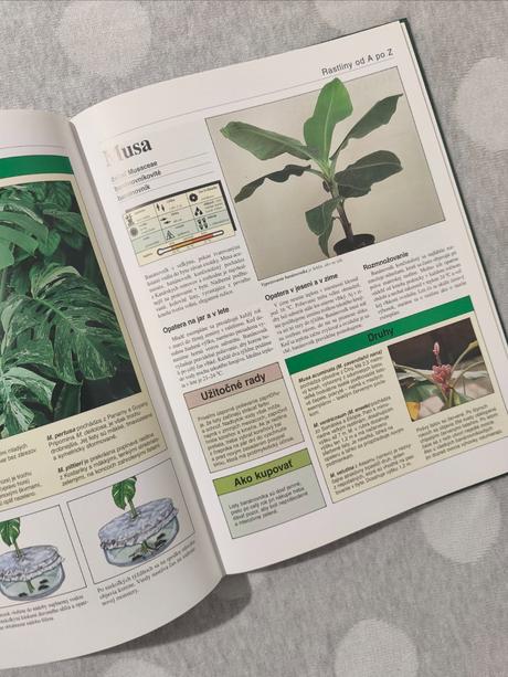 Rastliny v byte a na balkóne, 