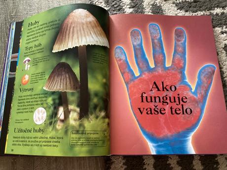 Detská encyklopédia (2004),