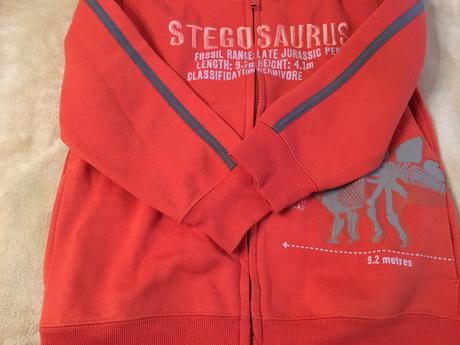 Dinosaurus mikina, 116