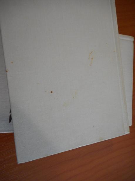 Villette i,ii charlotte bronteová,