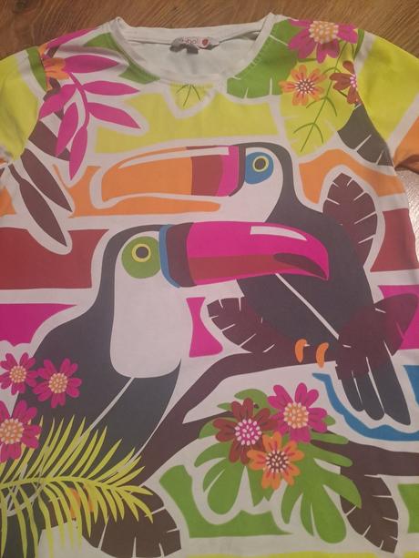 Tričko s papagájmi, 152