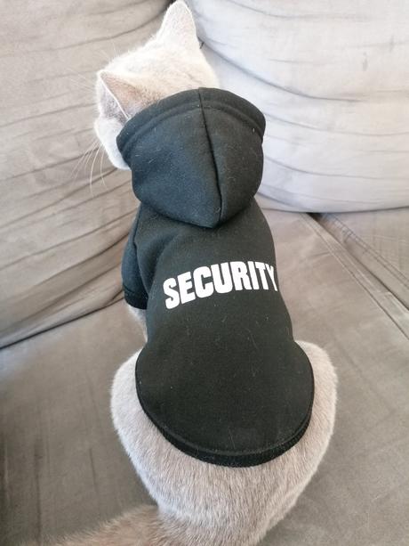 Oblečenie pre mačku, 