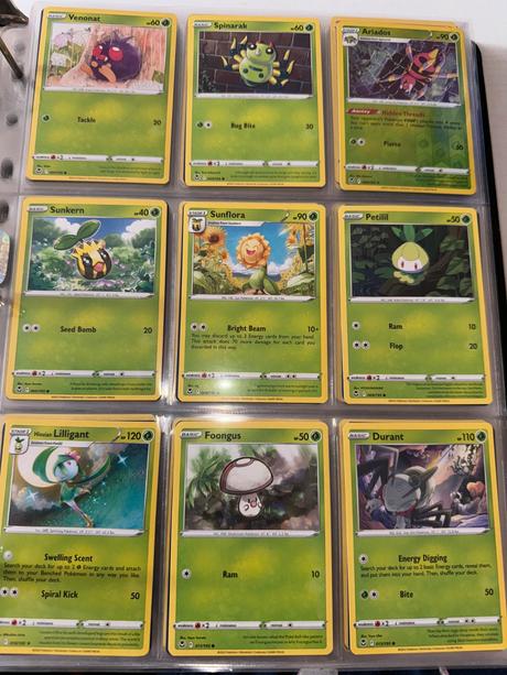 Pokémon silver tempest kartičky, 