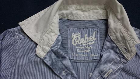 Kosela z brendonu, rebel,86