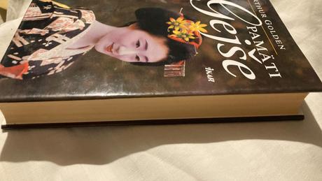 Kniha pamati gejše, 