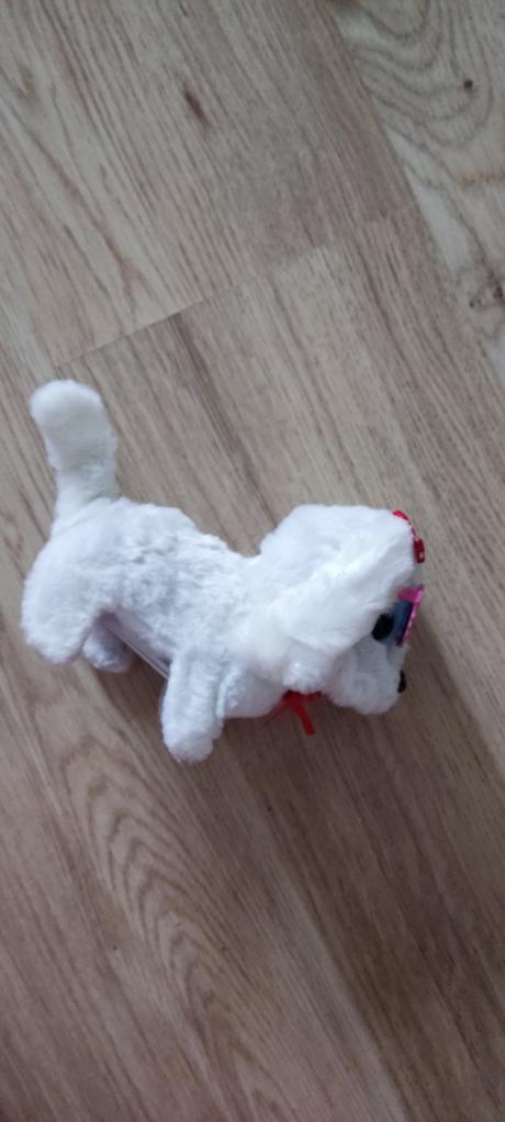 Psík- chodí, šteká, vrtí chvostíkom, 