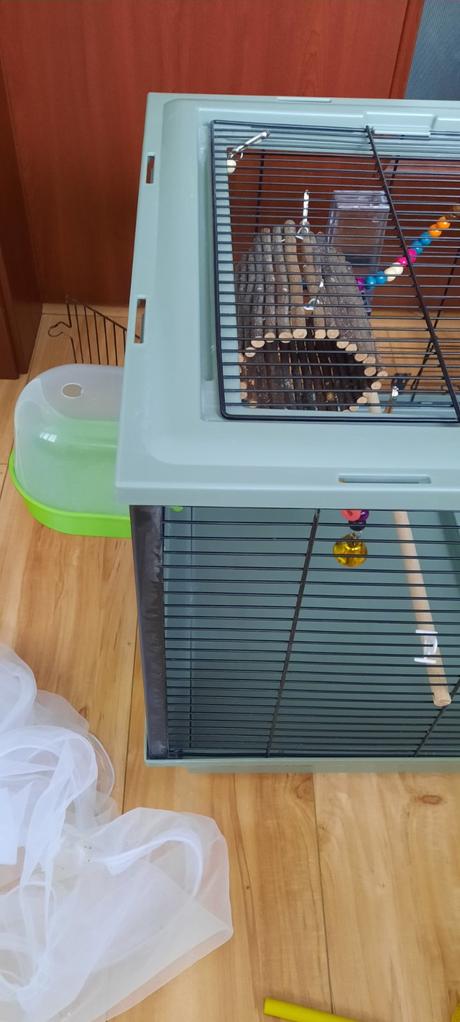 Klietka pre vtaciky, 