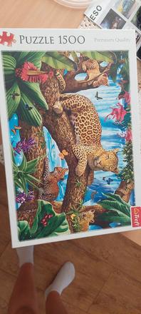 Puzzle 1500,