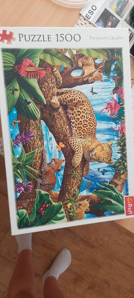 Puzzle 1500, 