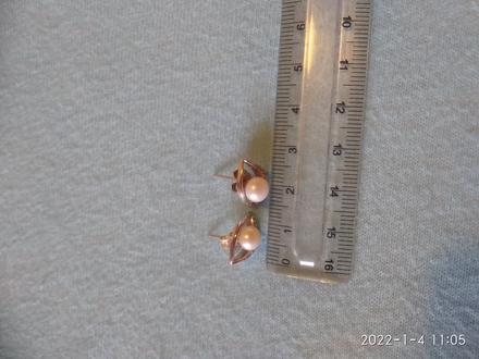 Strieborné náušnice (poštovné v cene), 