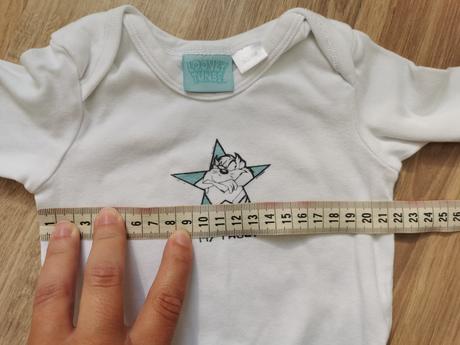 Body looney tunes taz, 68