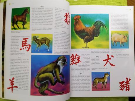 Feng-šuej praktická príručka  kniha, 