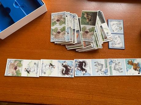 Obrázkové domino - zvieratá, 