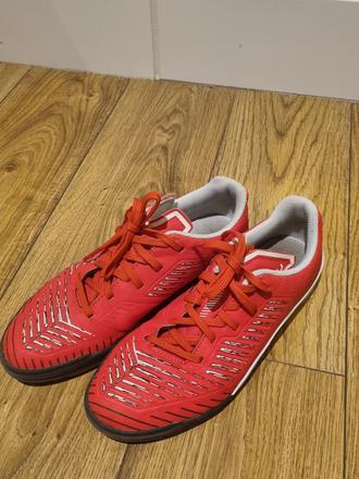 Halovky kipsta, kipsta,37