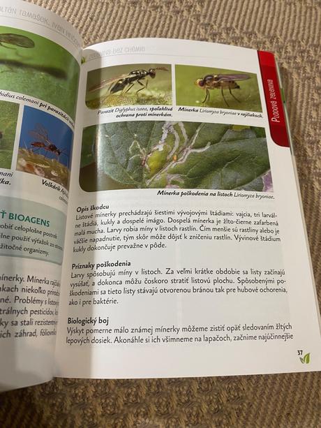 Zelenina bez chémie ivan hričovský zoltán tamašek,