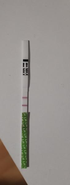 Je môj ovulačný test už pozitívny?