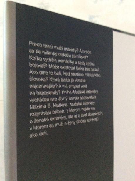 Mužské interiéry - kniha,