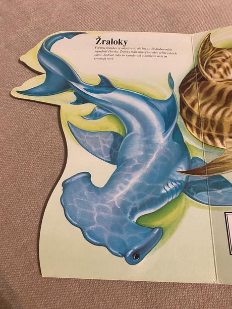 Morské zvieratá v malíčku text judy nayer ilus,