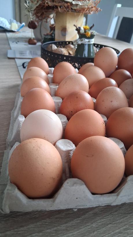 Domáce slepačie vajíčka, 
