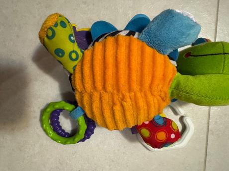 Korytnačka playgro,