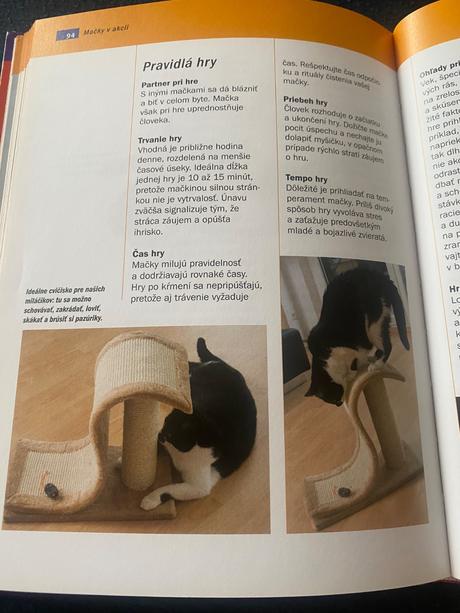 Život s mačkou starostlivosť, kŕmenie a zábava  de, 