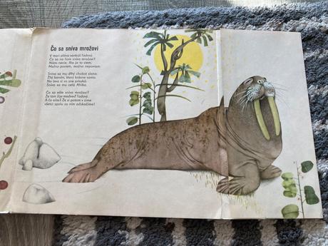 Čo sa sníva mrožovi (1969), 