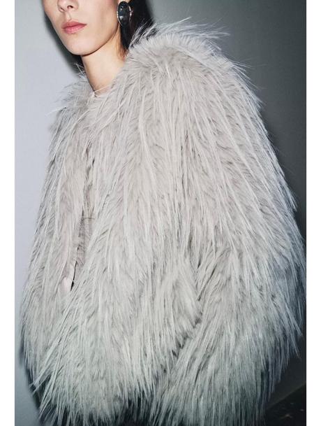 Zara kozuch c. d, zara,s