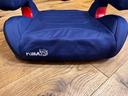 Podsedák puma, caretero