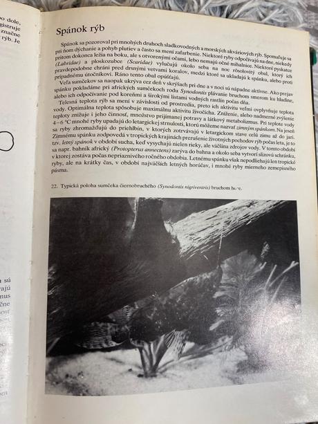 Stará retro kniha akváriové ryby stanislav frank,