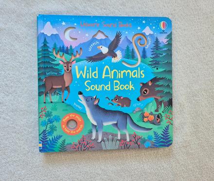 Zvuková knižka usborne, 