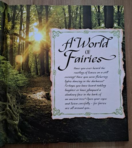 Kniha fairy world, 