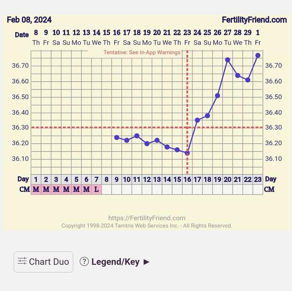Kedy presne prebieha ovulácia podľa bazálnej teploty?