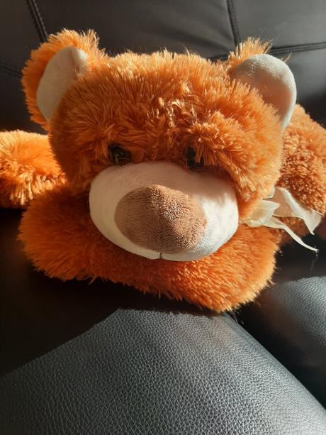 Veľký plyšovy medveď, 