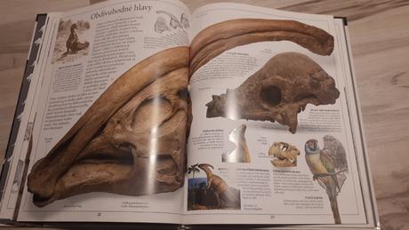 Krásna kniha dinosaury david norman, 