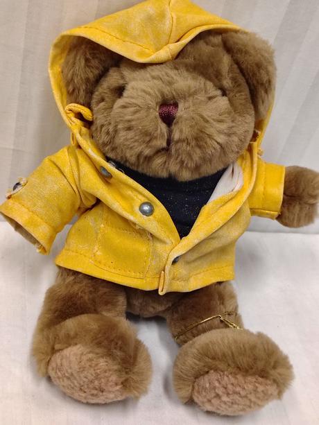 Zberateľ. sada 5ks medvedík the teddy bear collect, 