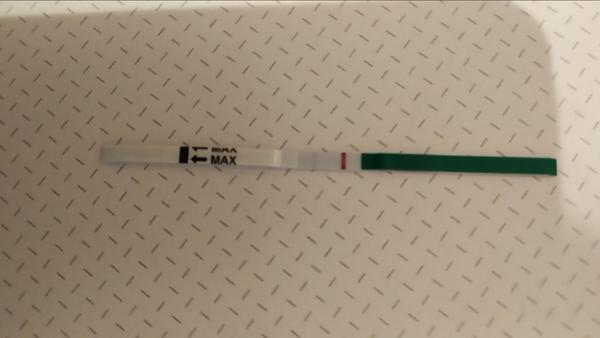 Test 5 dní po meškaní menzesu