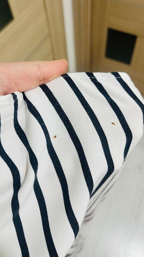 Damska blúzka 44, xxl