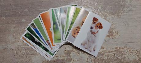 Nálepky coop jednota zvieratká slovenska,