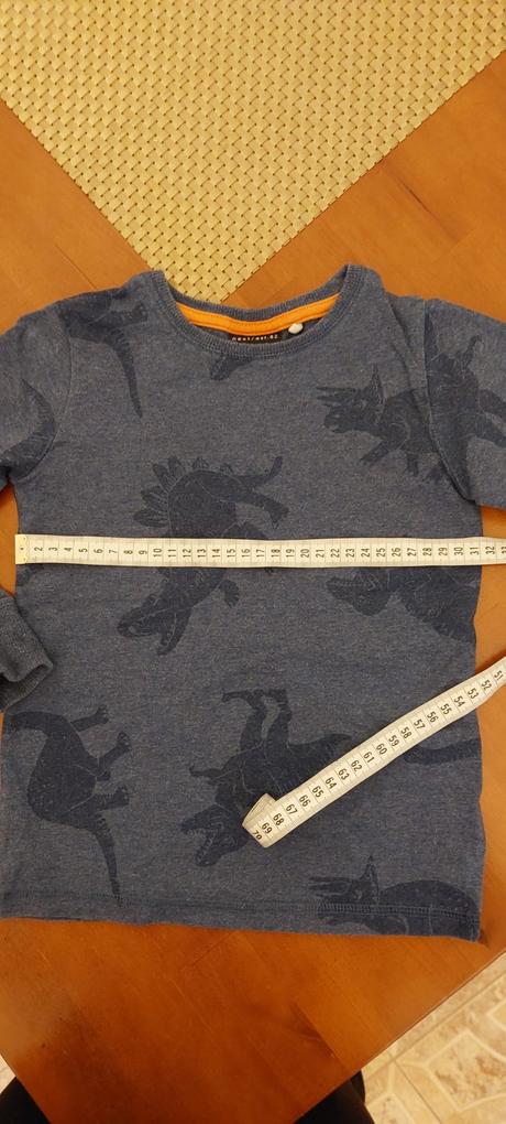 Pyžamo s dinosaurami, next,110