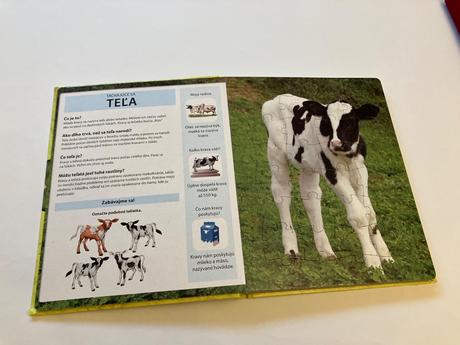 Kniha puzzle, 