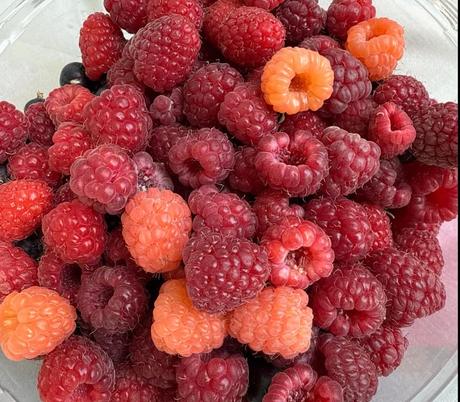 Roja dove elixir parfum,