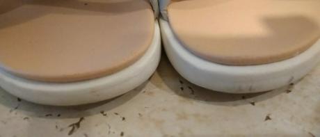 Dievčenské strieborné sandále, 34