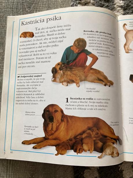 Psík príručka pre malých chovateľov psov (1993),
