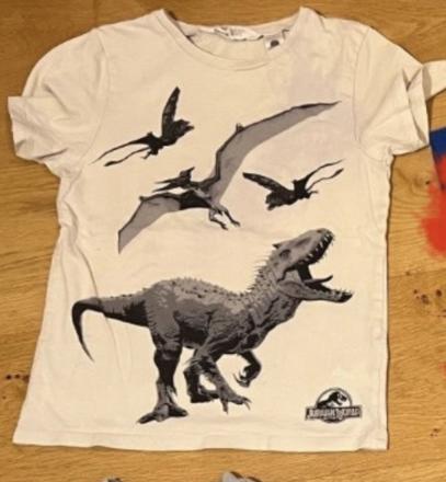 Chlapcenske letne dino tricko, 122