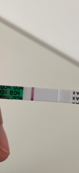 Vidíme niečo na tehotenskom teste?