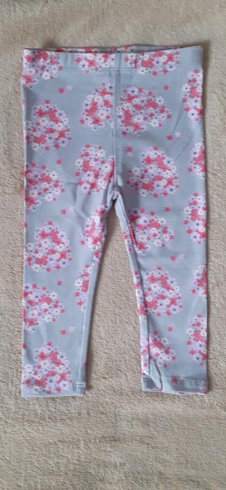 Leginy kvietkovane, pepco,80