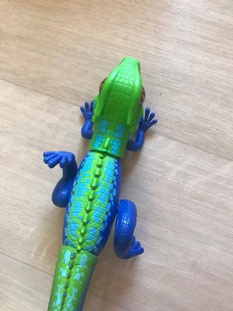 Jašterica robo alive,