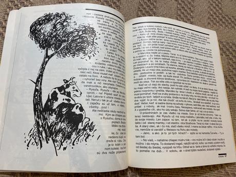 Krásna kniha maroško martin rázus, 